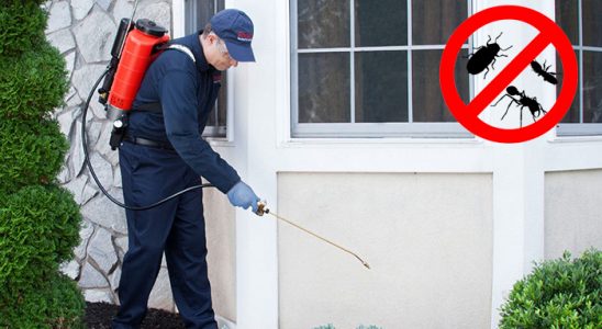 Karşıyaka Bit İlaçlama böcek ilaçlama ve haşere kontrolü — ilaclama-tr.com